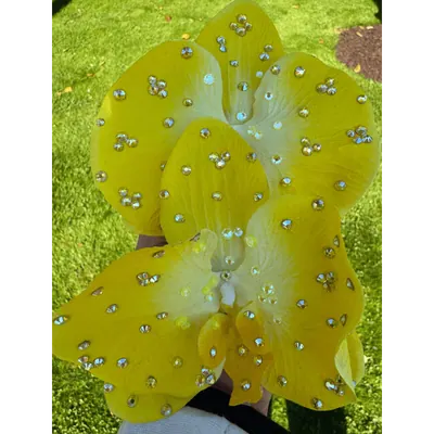 Rhinestone Orchid Hair Flower